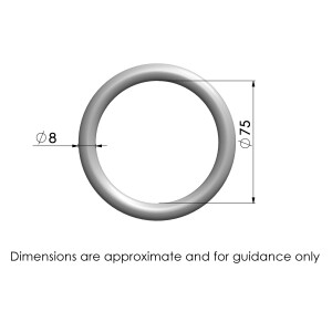 Product image: ROUND RING, 304, M8X75
