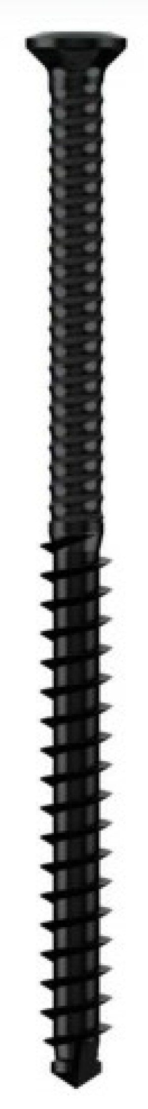 Product image: DECKING SCREW, S2-TTT, BLACK, A4 (316), 5.5x60