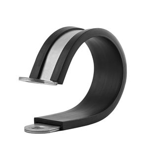 P-CLIPS image