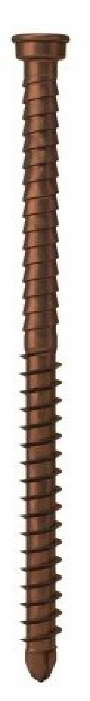 Product image: DECKING SCREW, ANCHORMARK, S2-TTT, VINTAGE, 316, 5.5(12g)x60