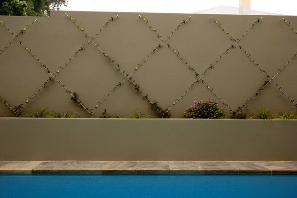Vertical Garden Kits2