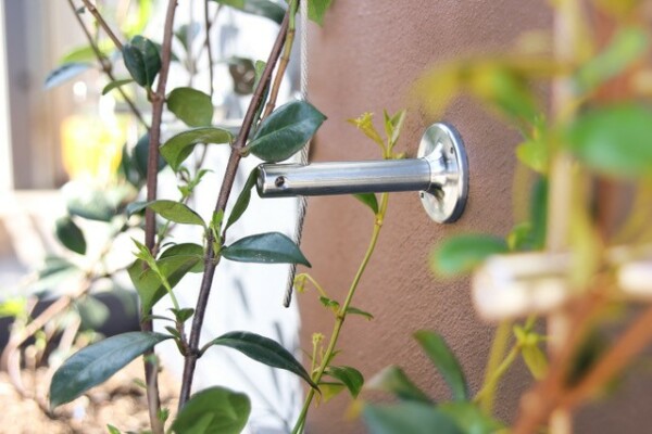 Vertical Gardens