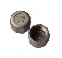 Product image: HEX CAP, 316, BSP, 1/4"